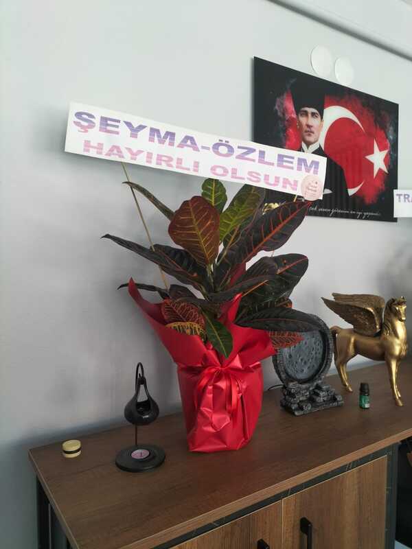 Kurs ve kurum fotoğraf 28